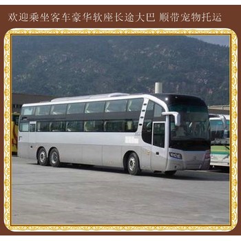 客運推薦：安圖到諸城查詢長途大巴