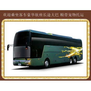 蛟河到萊州汽車臥鋪大巴