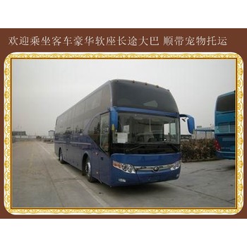 蛟河到萊州汽車臥鋪大巴