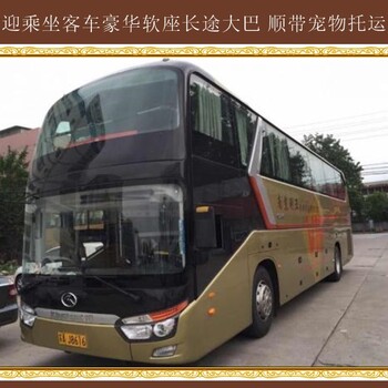 客運推薦：蛟河到高密客車(chē)車(chē)站發(fā)車(chē)