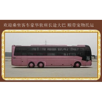 大連到蘇州：臥鋪大巴汽車