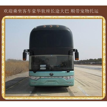 吉林到萊陽(yáng)臥鋪大巴班次查詢