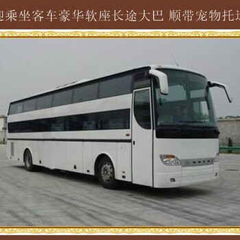 吉林到萊陽(yáng)臥鋪大巴班次查詢