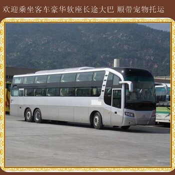 蛟河到上?？瓦\(yùn)臥鋪大巴