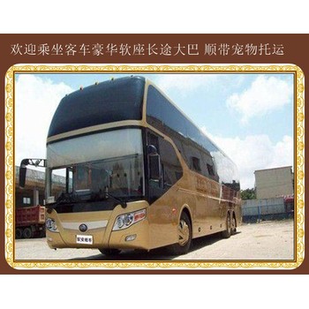 推薦：赤峰到淄博客車大巴