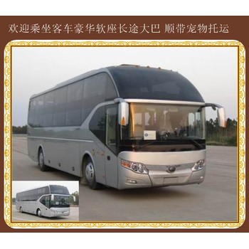哈爾濱到臨沂客車/汽車