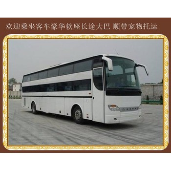 哈爾濱到臨沂客車/汽車