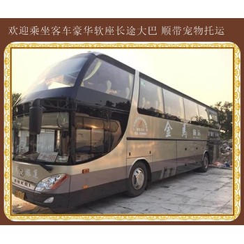 長春到乳山大巴車查詢2024