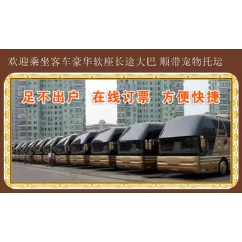 客运：哈尔滨到石岛客车几点发车-方便