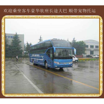 長春到蓬萊客車司機查詢