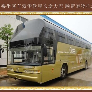 客運(yùn)推薦）哈爾濱到煙臺(tái)客運(yùn)長(zhǎng)途汽車運(yùn)輸