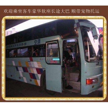 推薦：吉林到淄博汽車大巴