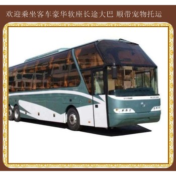 赤峰到溫州臥鋪直達(dá)大巴車