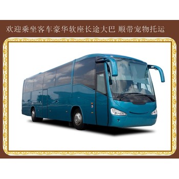 雞西到招遠直達客車