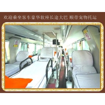 雞西到濱州客運(yùn)長(zhǎng)途臥鋪大巴運(yùn)輸