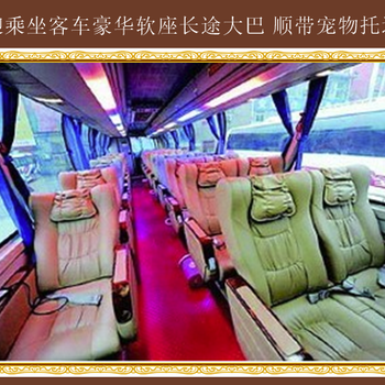 雞西到濱州客運(yùn)長(zhǎng)途臥鋪大巴運(yùn)輸
