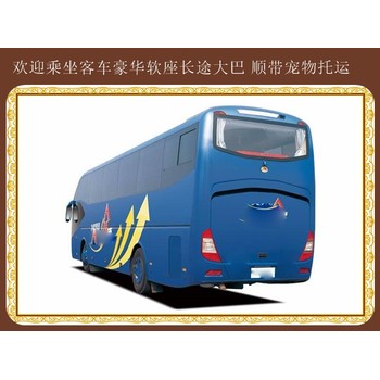 時刻表：吉林到青島大巴價格優惠