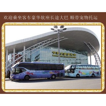 時刻表：吉林到青島大巴價格優惠