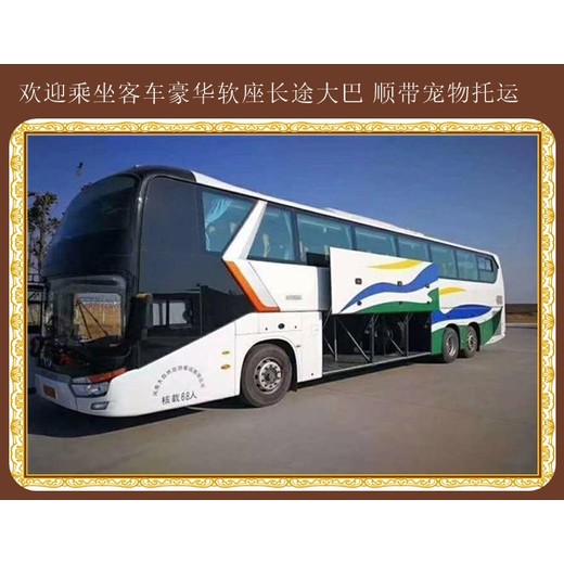 安图到平度：大巴卧铺汽车