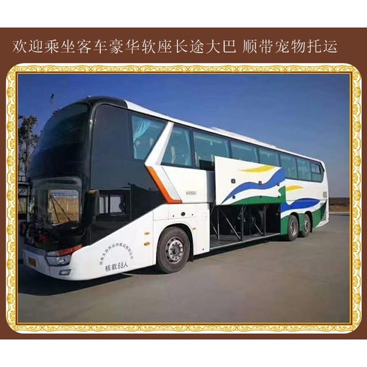 蛟河到乳山客車信息查詢2024
