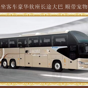 延吉到日照長(zhǎng)途直達(dá)大巴2024準(zhǔn)點(diǎn)發(fā)車