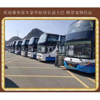 雞西到壽光營(yíng)運(yùn)大巴2024歡迎咨詢(xún)
