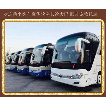 吉林到文登專線汽車