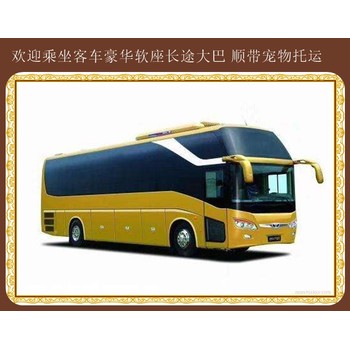 客車：承德到青島直達(dá)臥鋪客車班次查詢