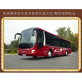 客運(yùn)推薦：蛟河到寧波查詢長(zhǎng)途大巴