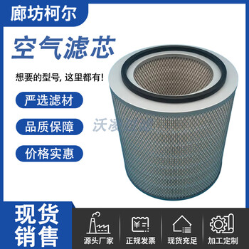 六耳快拆式除塵濾筒聚酯纖維除塵濾芯拋丸機(jī)防靜電阻燃濾芯廠家