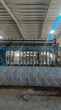 覆塑鉛絲籠河岸護底護腳，防洪防汛8號絲鉛絲石籠
