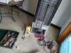 黃石等離子電視維修電話24小時檢修