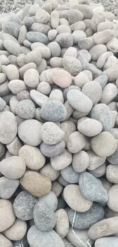 屯留縣鵝卵石/凈水處理鵝卵石墊層廠家