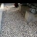 團(tuán)風(fēng)縣鵝卵石/鵝卵石慮料承托層
