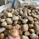 發發助手
