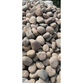 根河市鵝卵石/化工廠鵝卵石哪里有