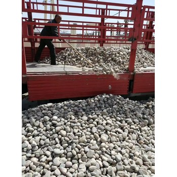 根河市鵝卵石/化工廠鵝卵石哪里有