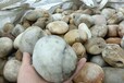 平順縣鵝卵石/變電所鵝卵石生產廠家