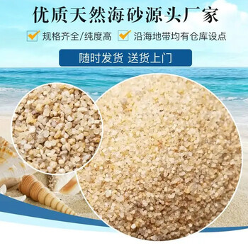 鹰手营子矿水洗海砂(海沙)（白沙）滤料鹅卵石虑料粒径规格