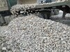 休寧縣鵝卵石/污水處理鵝卵石濾料廠家
