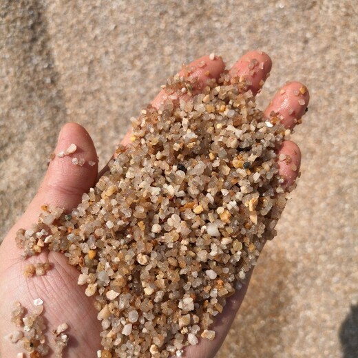 淮阳县水处理海砂(海沙)（白沙）滤料价格