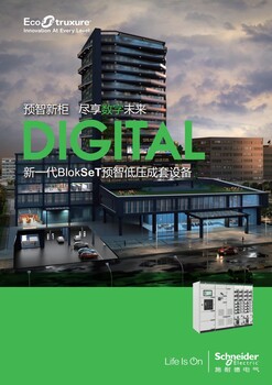 江西吉水雙斷路器柜哪家的施耐德低壓授權(quán)柜