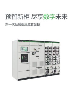 浙江鹿城區(qū)施耐德24kV中壓授權(quán)柜mvnexMT/NW1000V斷路器