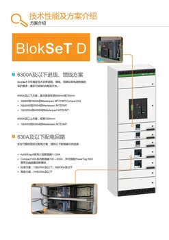 贵州大方的施耐德Blokset柜厂家10kV双断路器开关柜