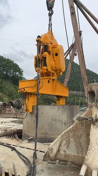 君環(huán)機(jī)械振動錘出租出售施工