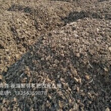 邢臺南和有機(jī)肥用著合適圖片