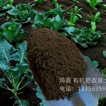 滄州廊坊黃驊發(fā)酵雞糞肥效穩(wěn)