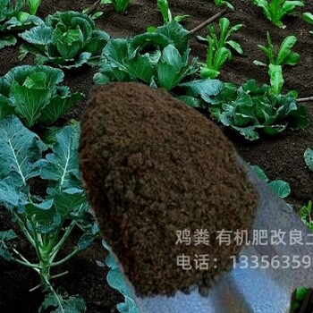 菏泽东明鄄城干鸡粪质量不错