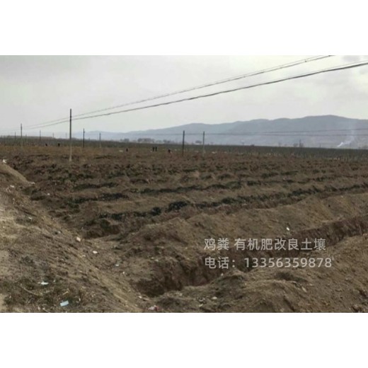河南周口煙臺干雞糞底肥后勁足
