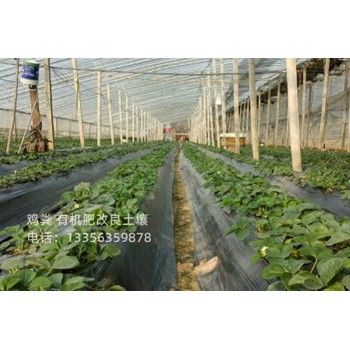 商丘睢陽有機肥一畝地用多少